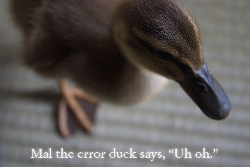 error duck